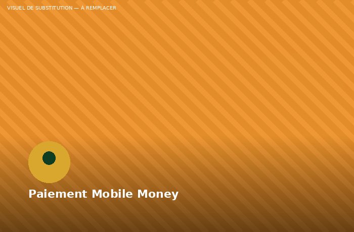 Payer En Mobile Money Sur La Boutique SLAC : Comment Ça Marche