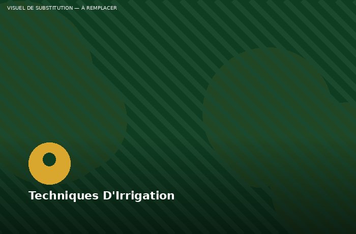 Formation techniques modernes de culture et irrigation SLAC SARL