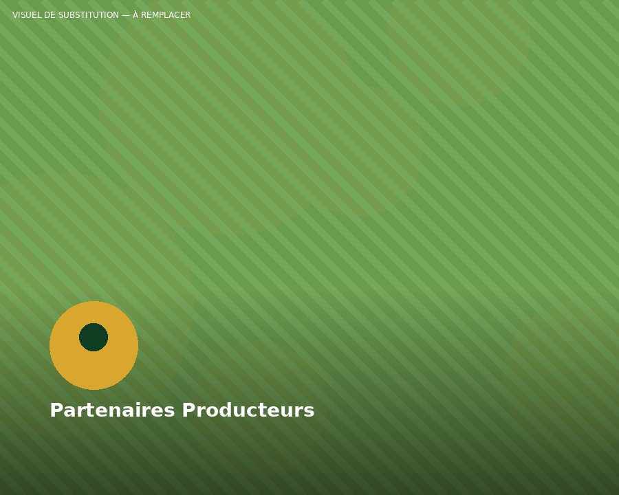 Partenaires producteurs SLAC SARL