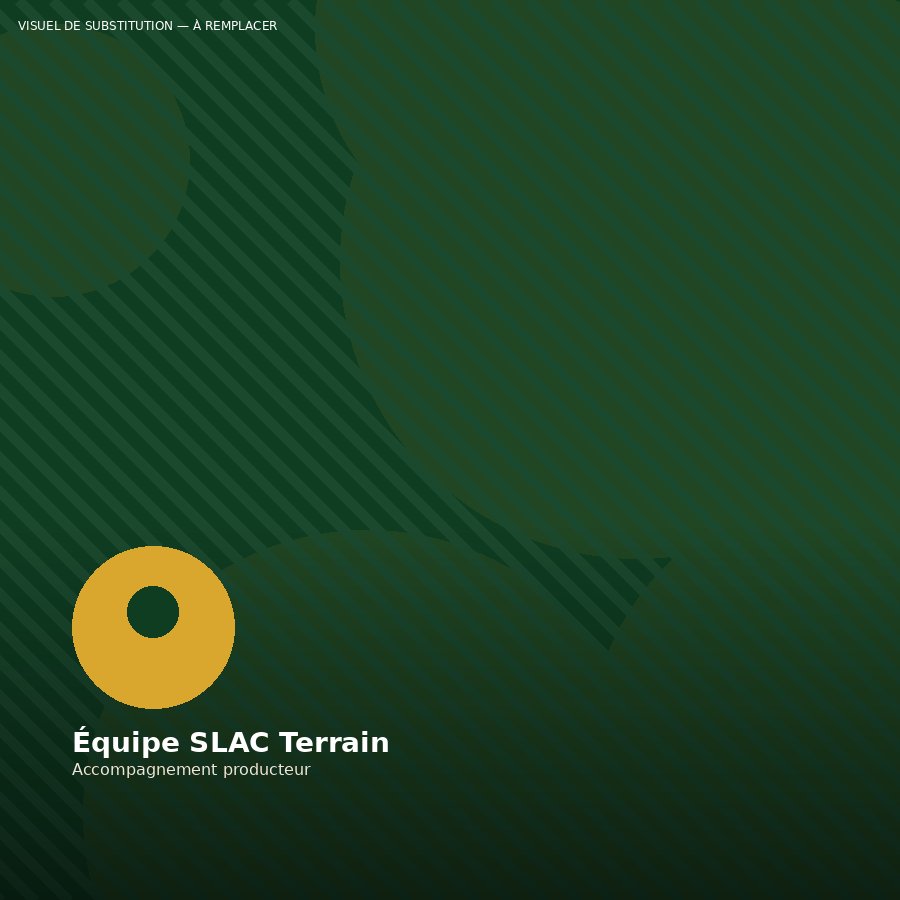 Intervention SLAC SARL sur le terrain